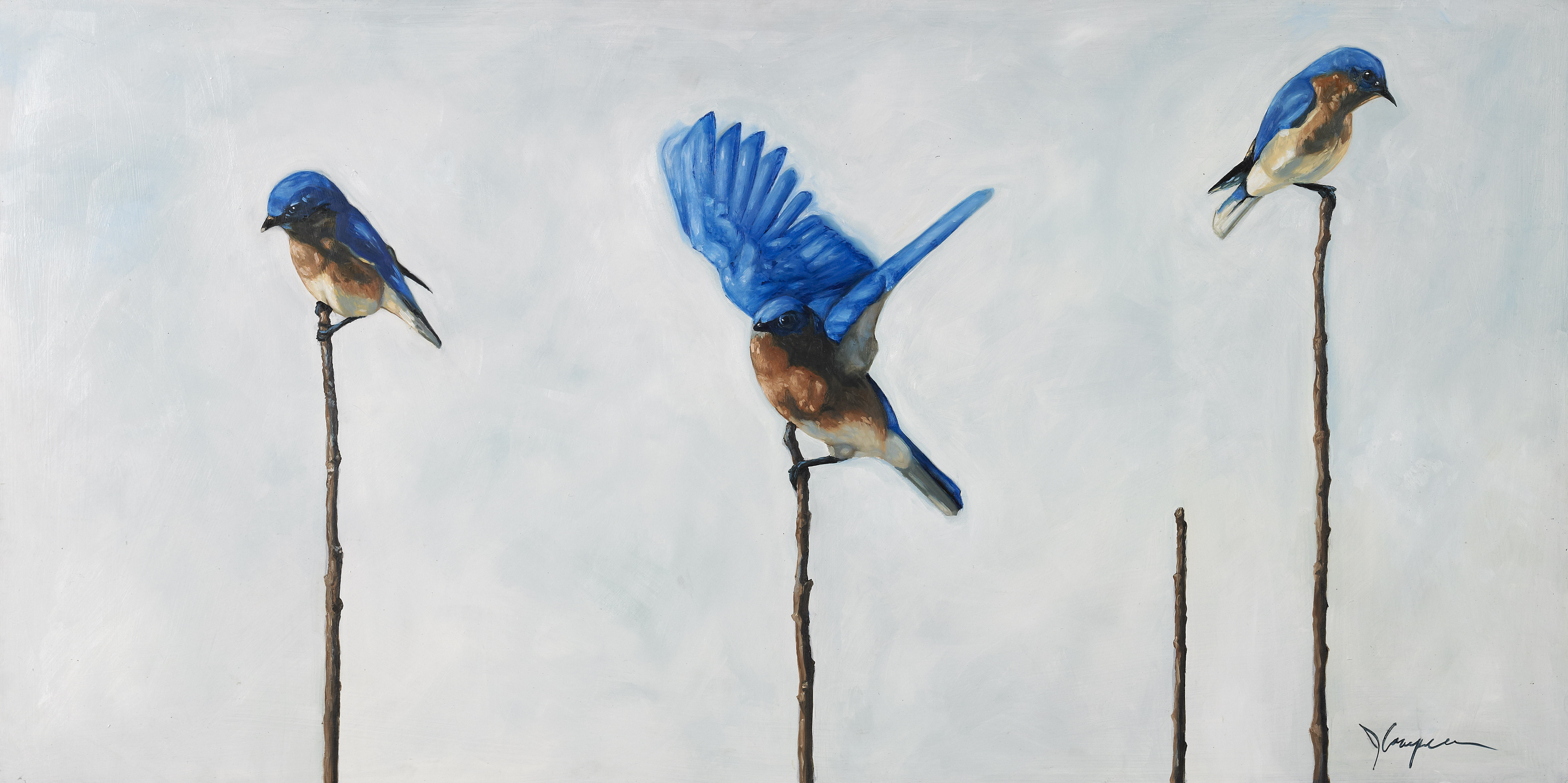 A Little Blue - Eastern Bluebirds