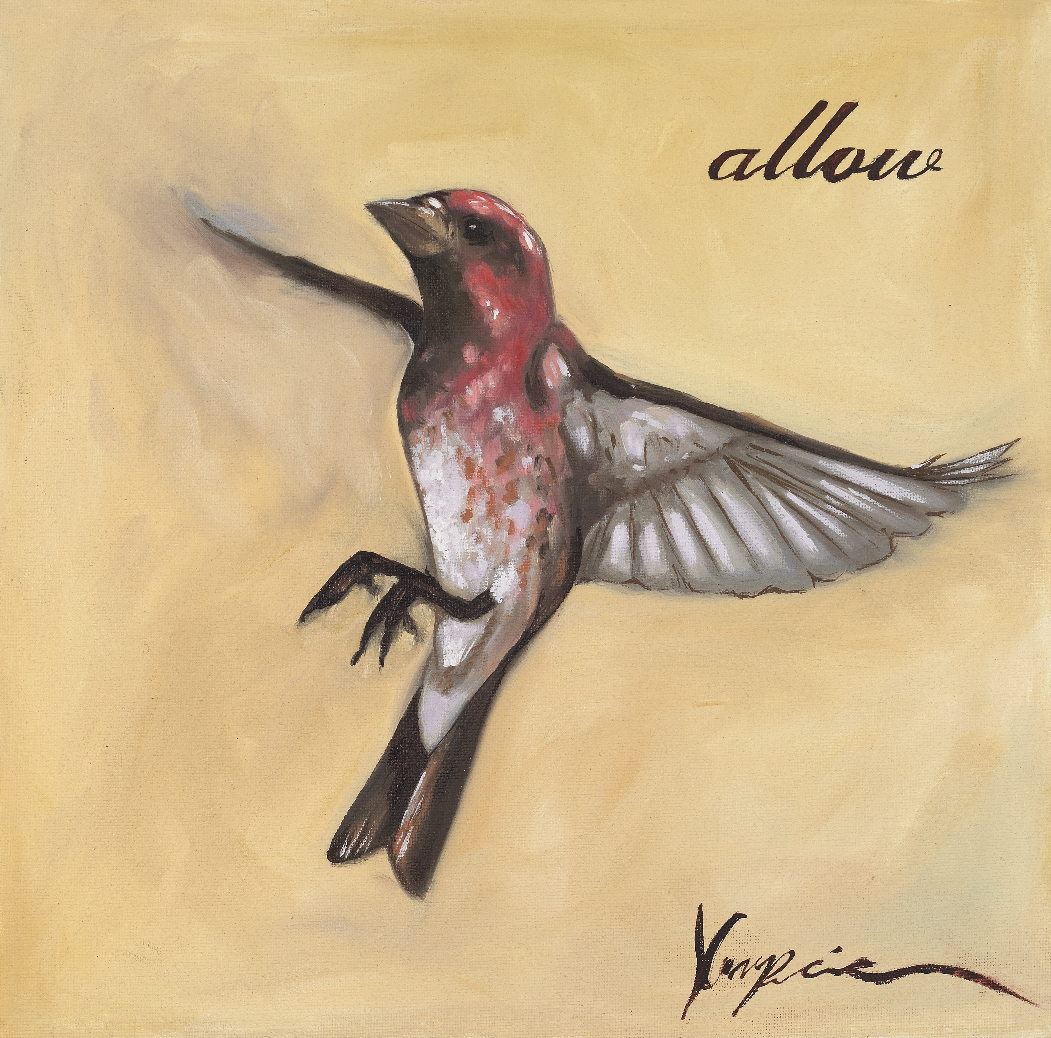 Allow - House Finch in Flight
