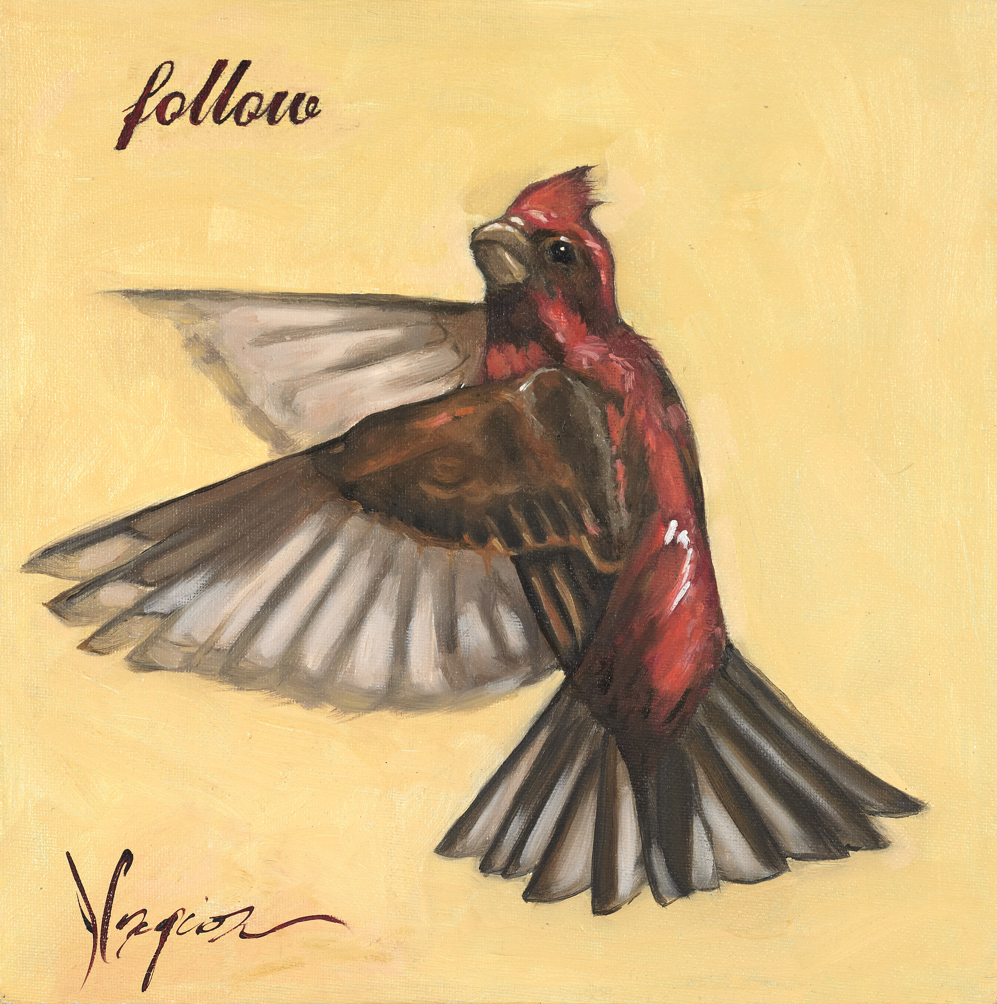 Follow - House Finch in Flight