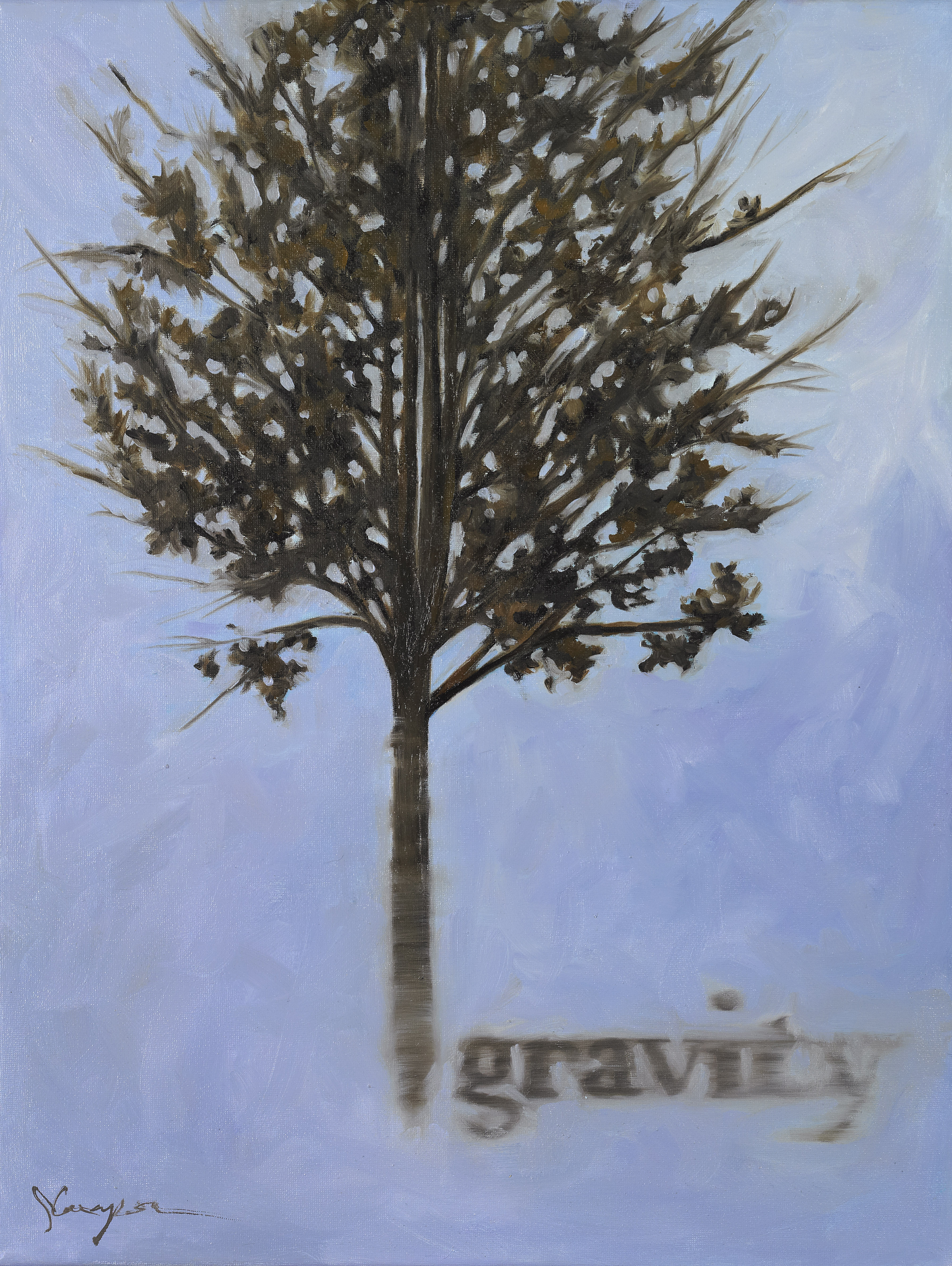 Gravity - Eastern Redbud in Winter