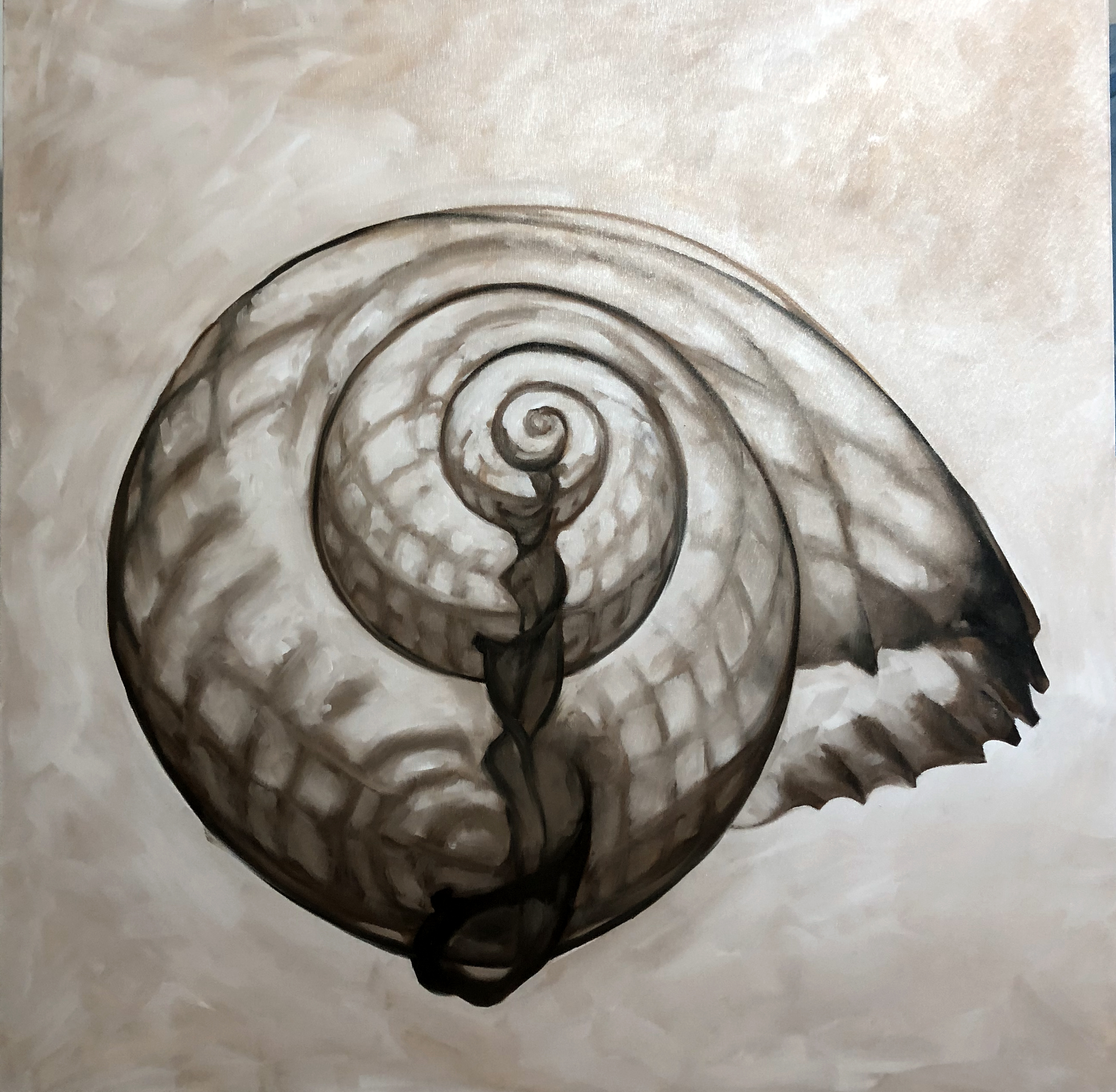 Nautilus