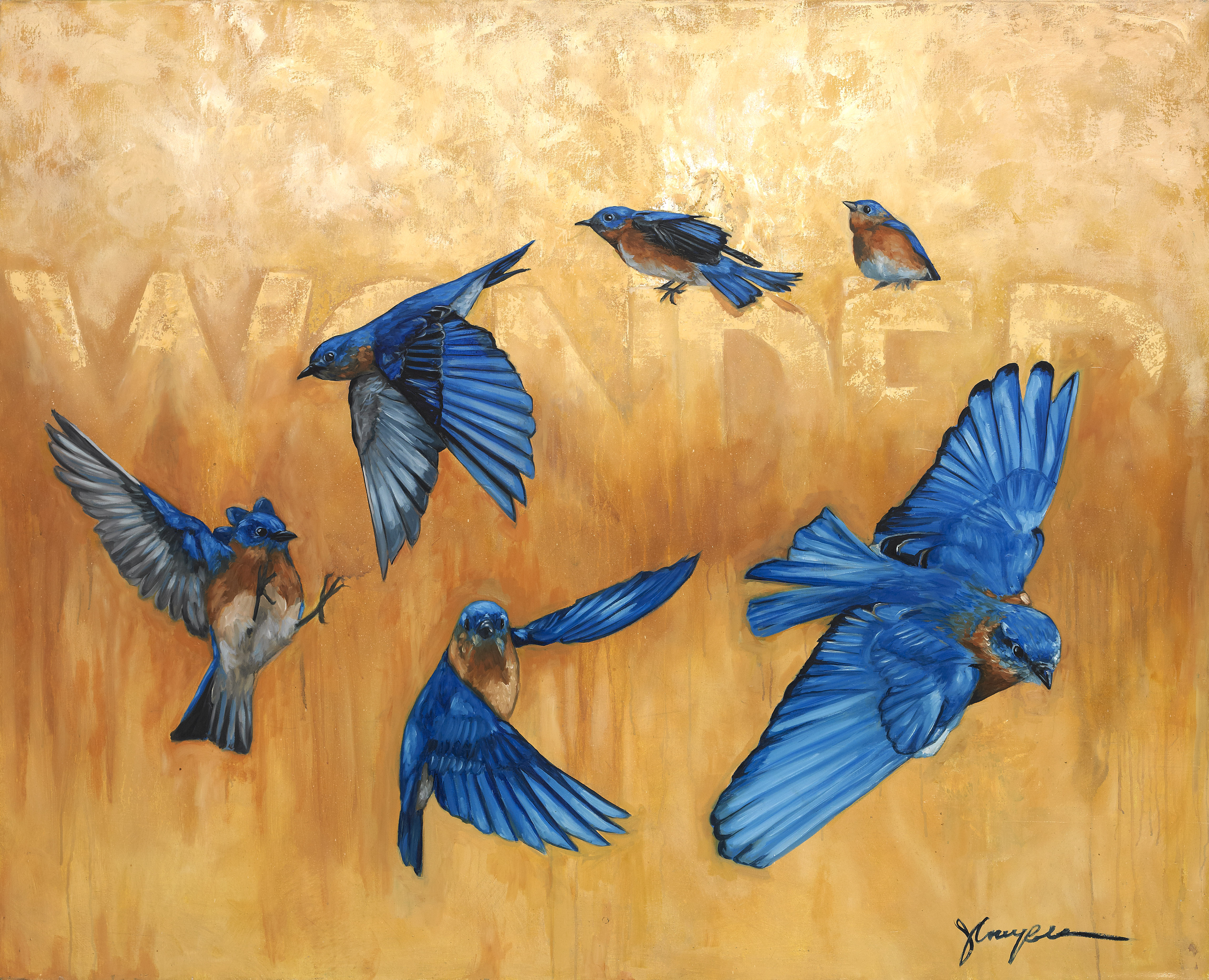 Wonder - Eastern Bluebird in Flight